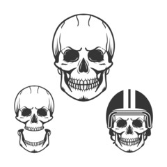 Isolated skull bone.