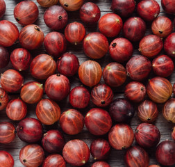 Rooseberries