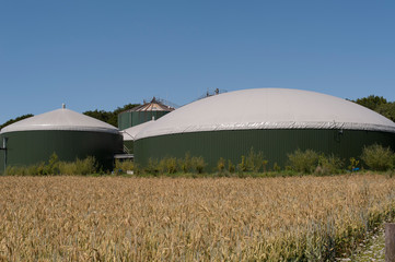 Kornfeld vor Biogasanlage