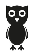 Fototapeta premium Eule