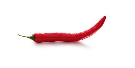 Red hot chili isolated on background