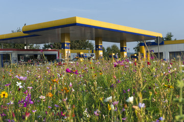 Tankstelle in Wildblumenwiese