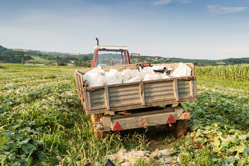 beladener Traktor im Feld