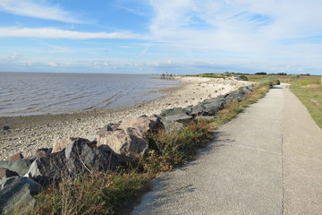 Charente-Maritime - Marsilly - Chemin du littoral