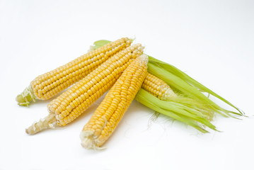 Ear of Corn with Leaves