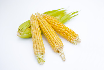 Ear of Corn with Leaves