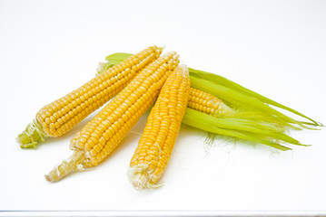 Ear of Corn with Leaves