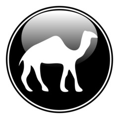Camel button