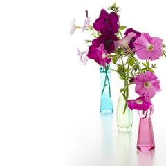 Bouquet of pink petunias