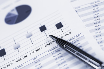 Showing business and financial report. Accounting