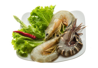 King and waterleg shrimps