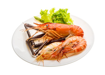 Giant Freshwater Prawn and king prawns