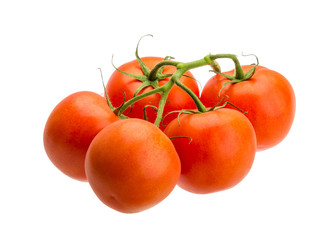 Tomatoes on the branch
