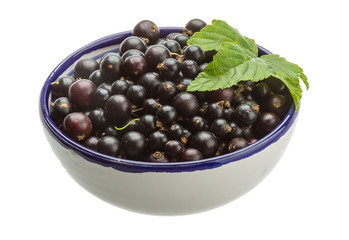 Black currant