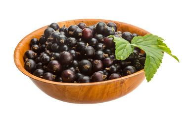 Black currant
