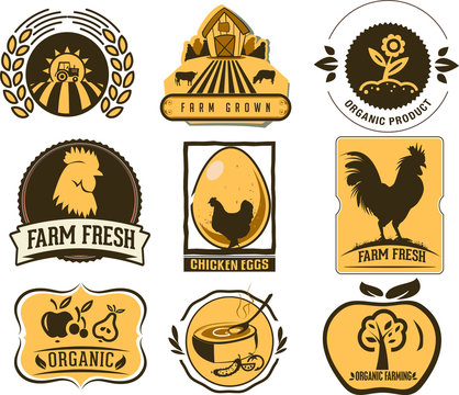Farm and Organic Food icons