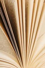 Pages from the book. close up.