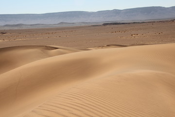 Stein und Sandwüste