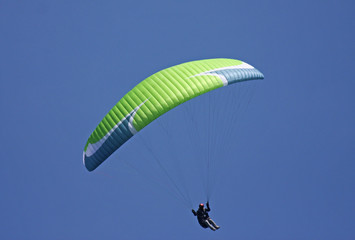 paraglider