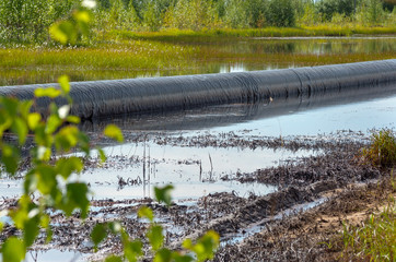 Spilled oil around the oil pipeline