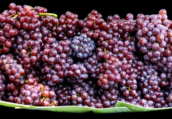 Fresh Red Grapes on black background with sprinkling water aroun