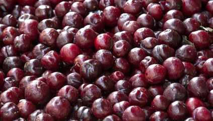 Nectarines pile in tray, It look  like plums.