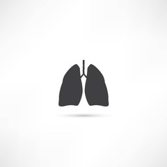 Human lung icon