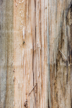 cracked and knotty wood texture
