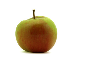 Bioapfel neue Ernte