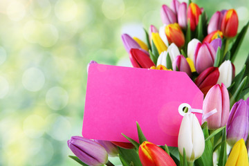 tulips with card - 69344872