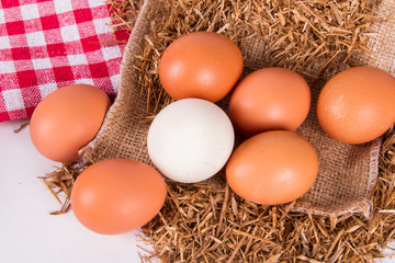 Organic Eggs in Nest