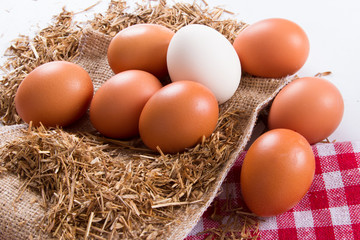 Organic Eggs in Nest