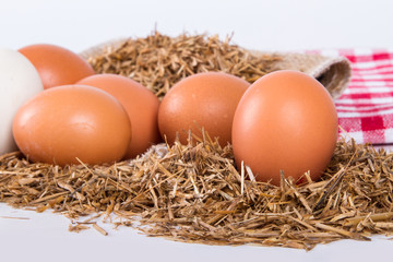 Organic Eggs in Nest