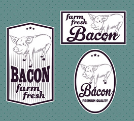 Bacon vintage labels