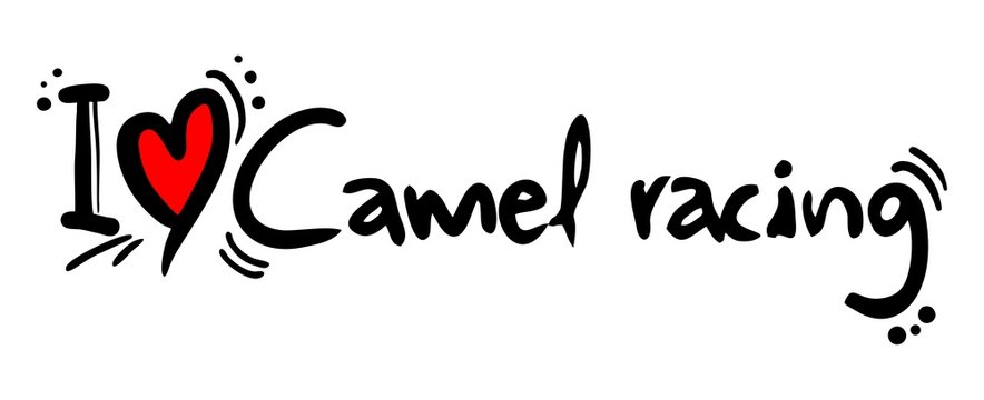 Camel racing love