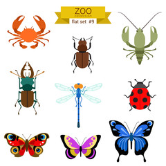 Flat design vector insects icon set
