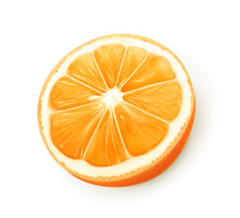 Orange fruit, vector