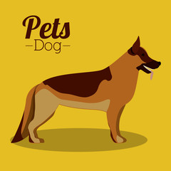 Pets design