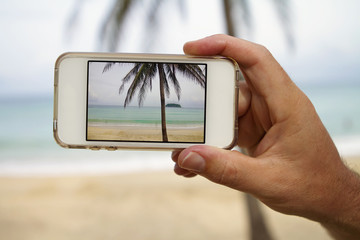 Taking photograph of palm tree with mobile cell phone
