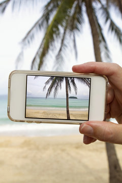 Taking photograph of palm tree with mobile cell phone