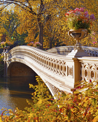Plakaty  Kolory jesieni - jesienne liście w Central Parku na Manhattanie w Nowym Jorku