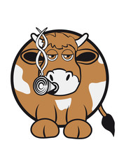 Kuh witzig kiffen Joint