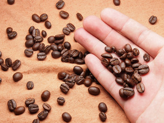 part of hand with coffee crop beans on fabric textile