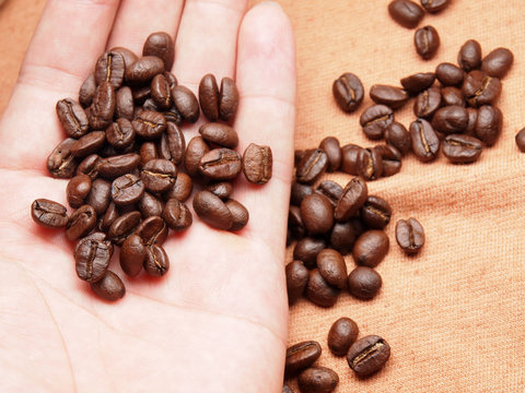 part of hand with coffee crop beans on fabric textile
