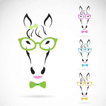 Vector image of a horse glasses on white background.