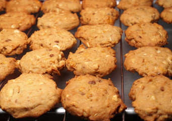 Cashew nut cookies on steel grid after oven