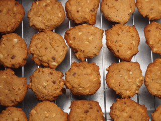 Cashew nut cookies on steel grid after oven
