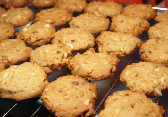 Cashew nut cookies on steel grid after oven