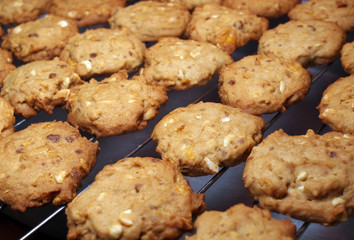 Cashew nut cookies on steel grid after oven