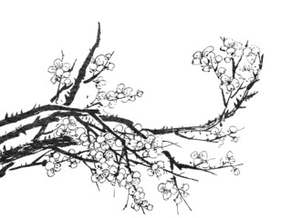 Fototapeta premium Chinese painting